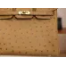 バーキン25 オーストリッチ グリス ゴールド金具