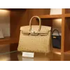 バーキン25 オーストリッチ グリス ゴールド金具