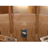 バーキン25 トゴ 37/ゴールド シルバー金具