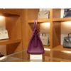 バーキン25 ヴォーエプソン Epsom P9/ Anemoneアネモネ ゴールド金具