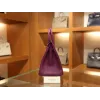 バーキン25 ヴォーエプソン Epsom P9/ Anemoneアネモネ ゴールド金具