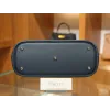 ボリード 25 エバーカラー  ヴェールボスフォールW0 シルバー金具