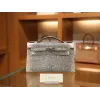 ケリーポシェット リザード オンブル シルバー金具